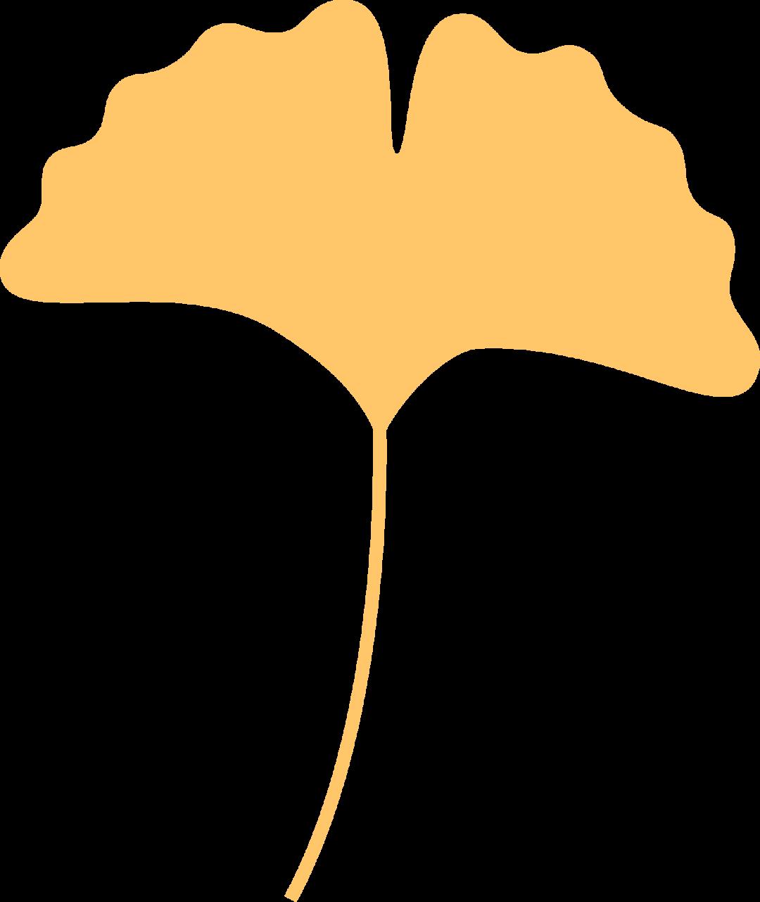 DƬ